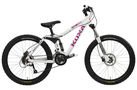 Kona Stinky 2-4 2009 Kids Bike