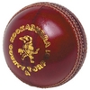 KOOKABURRA COUNTY TURF CRICKET BALL (AK011)