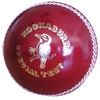 KOOKABURRA SPECIAL TEST CRICKET BALL (AK144)