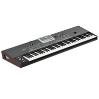 Pa3X Le Professional Arranger Keyboard