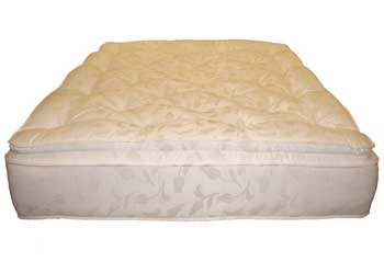 Furniture123 Pillow Master Mattress