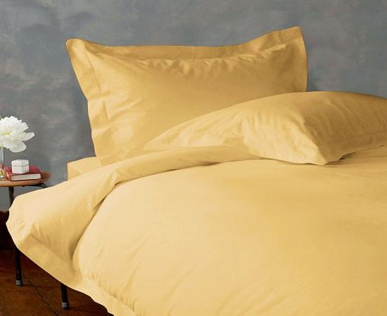 Lacasa Bedding Extra Sumptuous Italian Finish 800 TC Egyptian cotton 54cm Deep pocket Sheet Set Solid By Lacasa Bedding (UK Double , Gold )