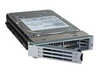 1TB ( 1000GB ) ETRHERNET DISK Raid Spare Drive 32mb