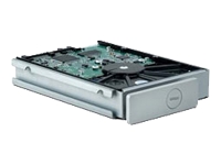 2big Spare Drive Server Hard Drive