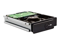 4big/5big Spare Drive - hard drive - 1 TB - SATA-300