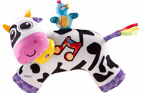 Lamaze Cow Chorus