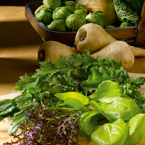 Leaf Salad Seeds - Winter Mix