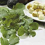 leaf Salad Texsel Greens Seeds 439512.htm