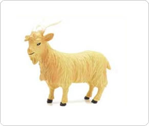 Billy Goat