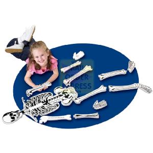 Learning Resources Skeleton Floor Puzzle