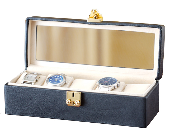 Watch Box