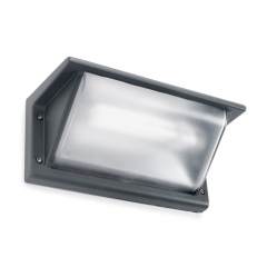 Curie Dark Grey Outdoor Wall Light