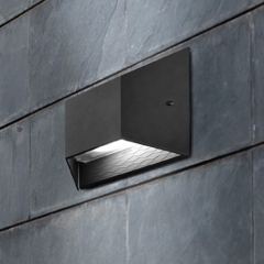 Pasteur Low Energy Dark Grey Outdoor Wall Light