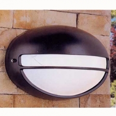 Zeus Black Outdoor Wall Light Large