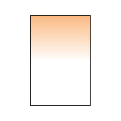 Lee Coral Grad 10 Resin Filter