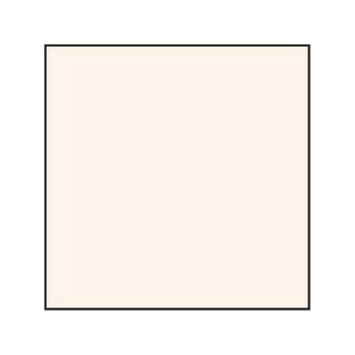 Lee Coral Std 1 Resin Filter