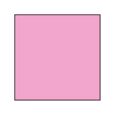 Lee Magenta 50 resin CC Filter