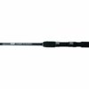 2XL 12ft Float Fishing Rod