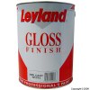 Gloss Finish Brilliant White Paint 5Ltr