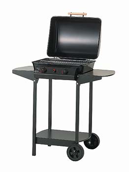 ZJ302 Gas BBQ