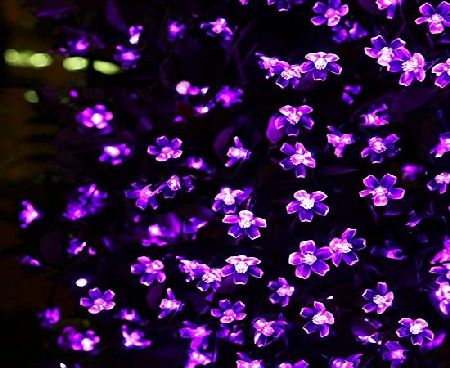 Lighting EVER LE Solar Fairy Lights, 7 Meters, Waterproof, 50 LEDs, 1.2 V, Violet, Portable, with Light Sensor, Outdoor Bloosom String Lights, Ideal for Christmas, Wedding, Party