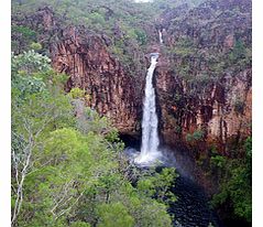 National Park Waterfalls Tour - Child