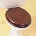 Littlewoods-Index TOILET SEAT