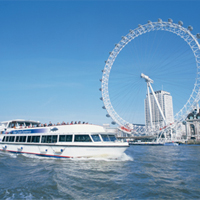 London Eye Fast Track Flight