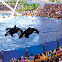 Loro Parque 1 Day Ticket