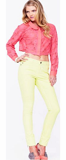 Love label Peter Pan Crop Lace Blouse