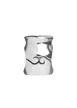 Silver Aquarius Charm 1180841