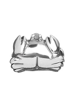 Silver Cancer Charm 1180846