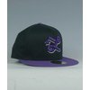 LRG Grass Roots 2 Cap (Black)