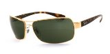 Ray Ban Sunglasses RB3379 Arista(oz)