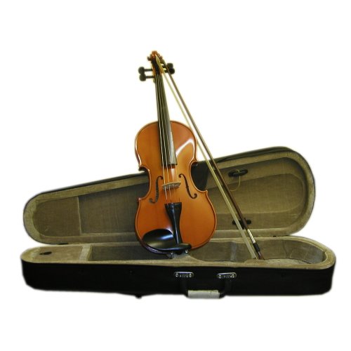 Maestro 1/4 Violin