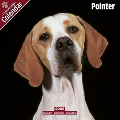 Pointer Wall Calendar: 2009