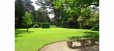 Maltbys Stores 10kg BACKLAWN HARD WEARING LAWN GRASS SEED