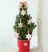 Christmas Tree Gift