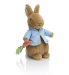 Peter Rabbit Soft Toy