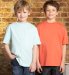 2 Pure Cotton Short Sleeve Plain T-Shirts