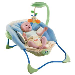 Mattel Fisher Price Blue Green Papasan Bouncer