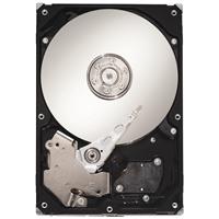 Maxtor 250GB DiamondMax Plus 21 SATA II 300 Hard Disk Drive 8MB Cache 7200rpm