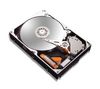 MAXTOR DiamondMax 10 - 160GB - 7200RPM - 8 MB - UDMA133 (bulk version)