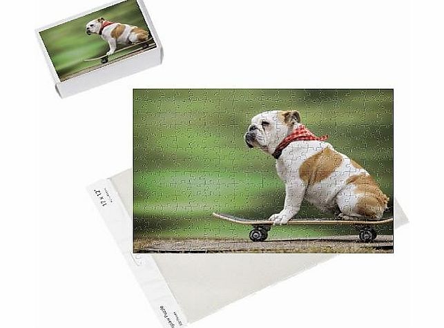 Media Storehouse Photo Jigsaw Puzzle of JD-21876-M DOG. Bulldog on skateboard