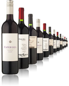 Malbec Mix 12 x 75cl Bottles