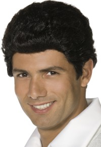 mens Wig - Grease Teen Angel