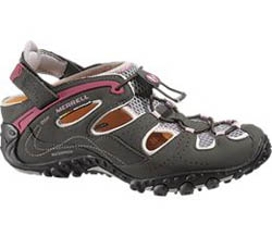 CHAMELEON ARC WEB SPOR