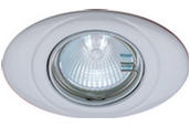 31394 / Low Voltage Eyelid Downlight