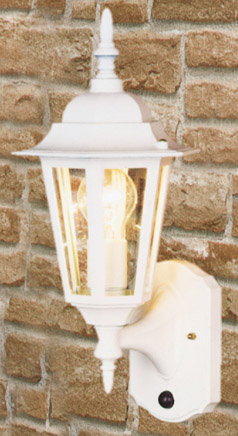 Wall Lantern with Microscan 240™ MK5