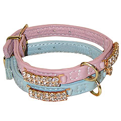 Starlight Dog Collar